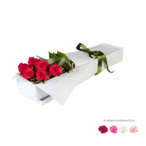 Half Dozen (6) Roses in Presentation Box