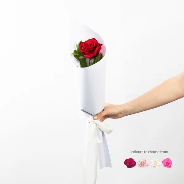 The One and Only – Single Wrapped Long Stem Rose