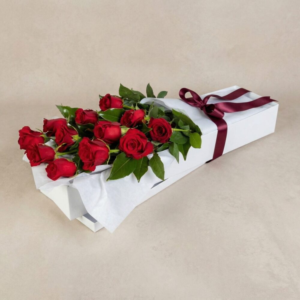 Wildest Dreams – 12 Roses in Presentation Box